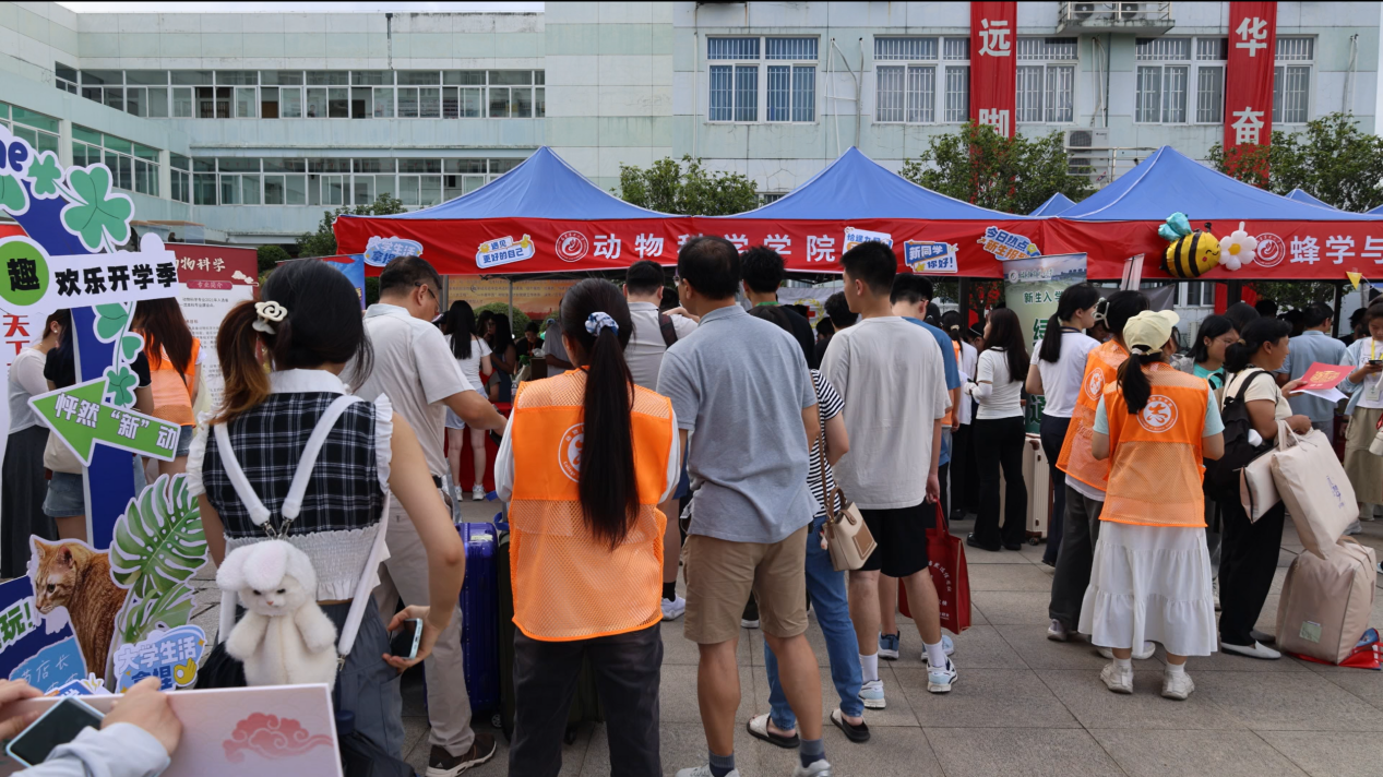 迎新当天介绍相关课程 迎新.png